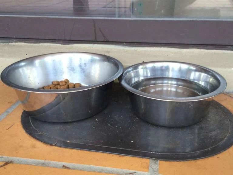 Pet food bowls