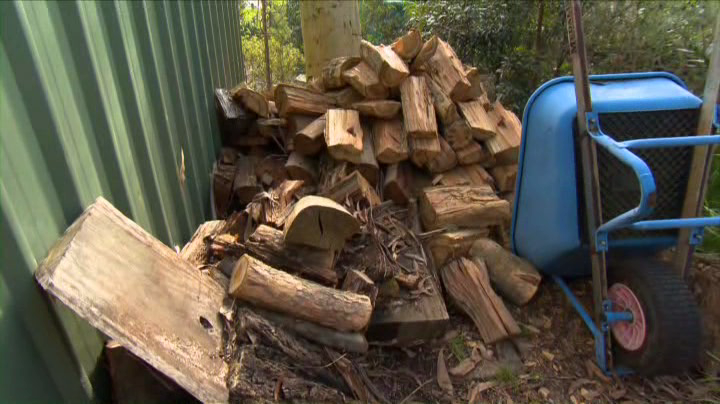 Firewood can be a source of food for termites