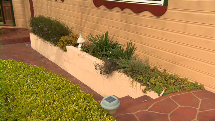 Garden beds against the house can allow termites to enter without being noticed
